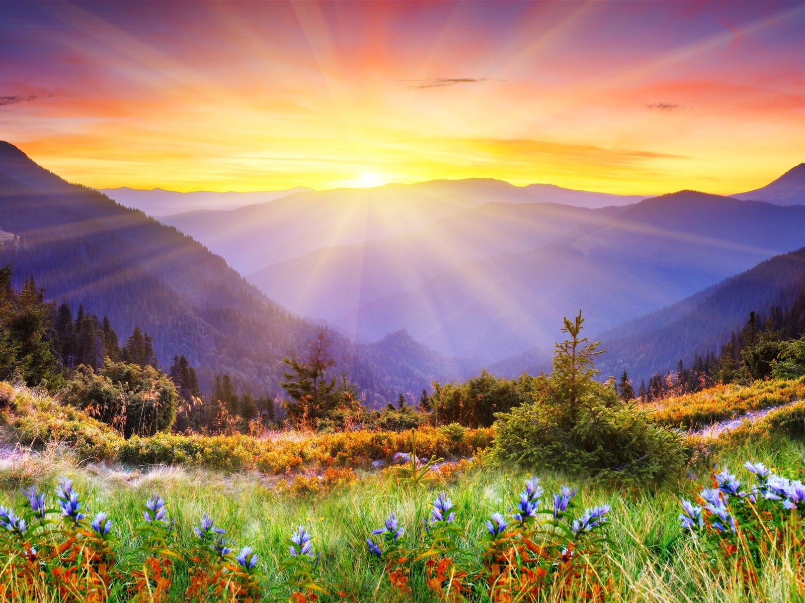 RESURRECT YOURSELF! – Rebirth & Renewal Awaits